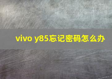 vivo y85忘记密码怎么办